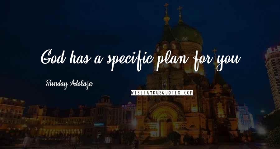 Sunday Adelaja Quotes: God has a specific plan for you