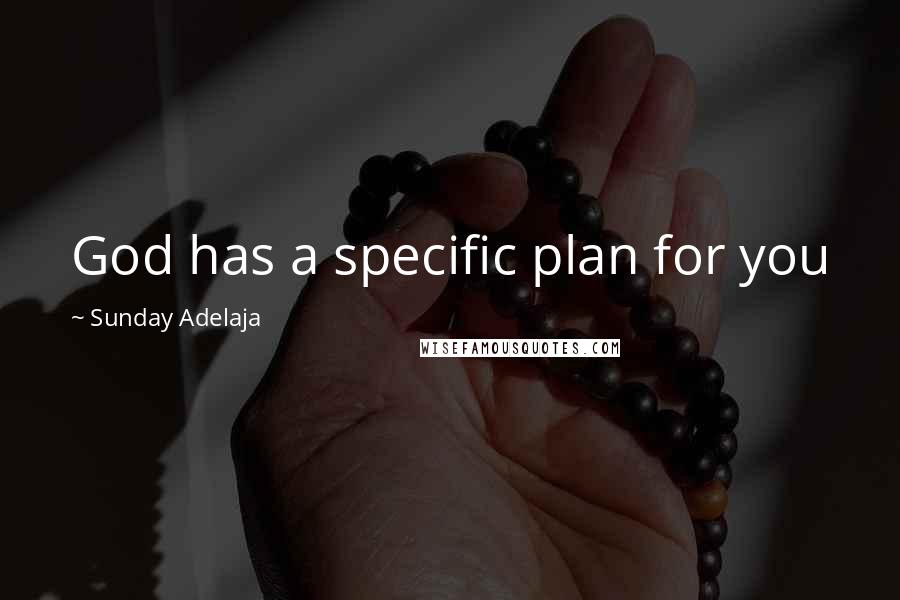 Sunday Adelaja Quotes: God has a specific plan for you