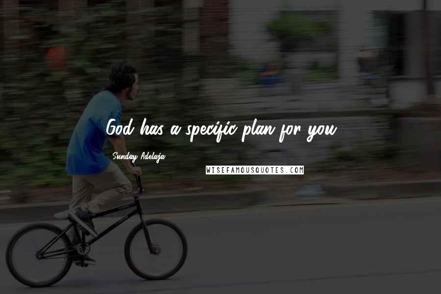 Sunday Adelaja Quotes: God has a specific plan for you