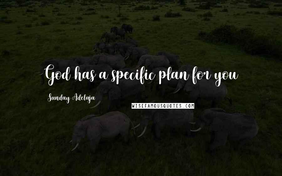 Sunday Adelaja Quotes: God has a specific plan for you