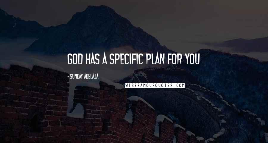 Sunday Adelaja Quotes: God has a specific plan for you