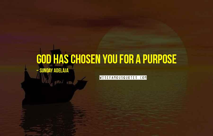 Sunday Adelaja Quotes: God has chosen you for a purpose
