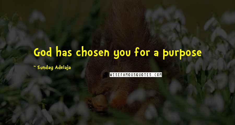 Sunday Adelaja Quotes: God has chosen you for a purpose