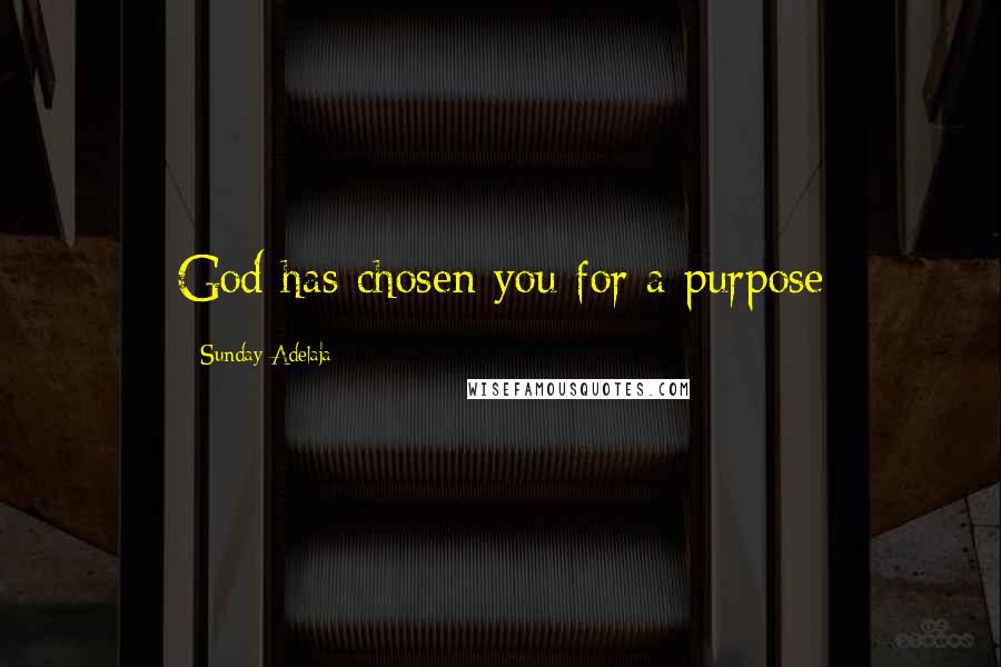 Sunday Adelaja Quotes: God has chosen you for a purpose