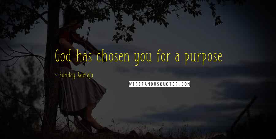 Sunday Adelaja Quotes: God has chosen you for a purpose