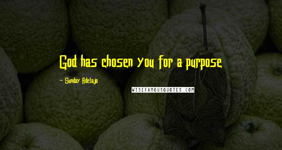 Sunday Adelaja Quotes: God has chosen you for a purpose