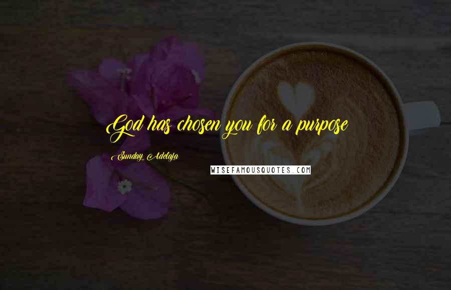 Sunday Adelaja Quotes: God has chosen you for a purpose