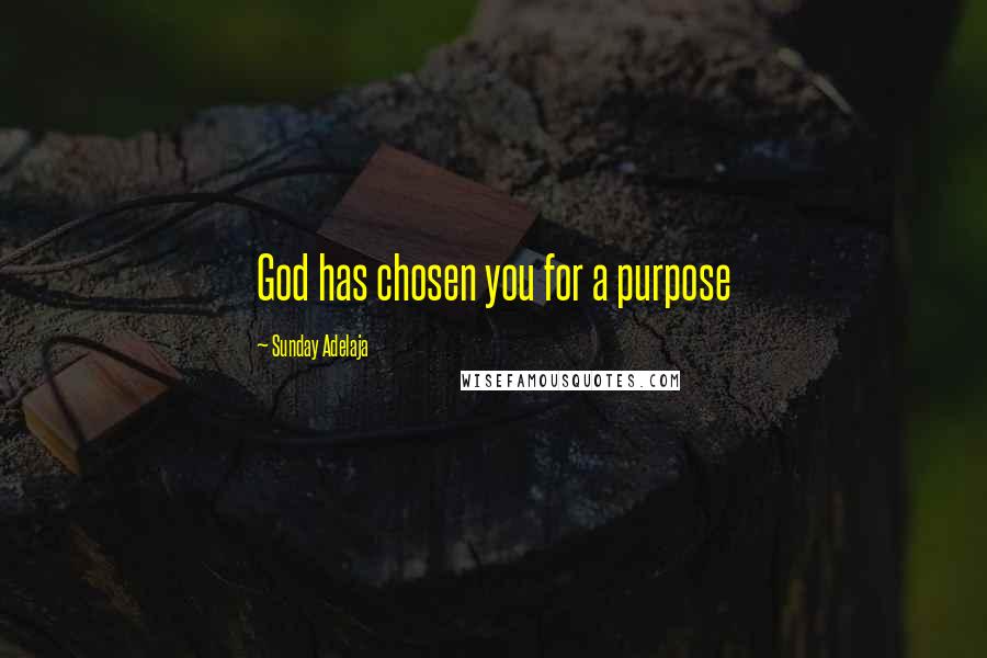 Sunday Adelaja Quotes: God has chosen you for a purpose