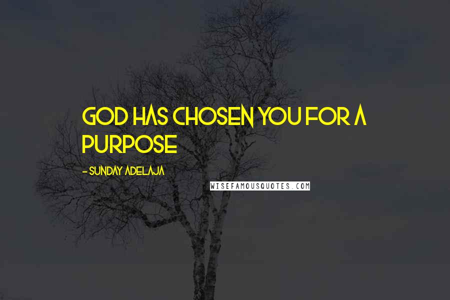 Sunday Adelaja Quotes: God has chosen you for a purpose