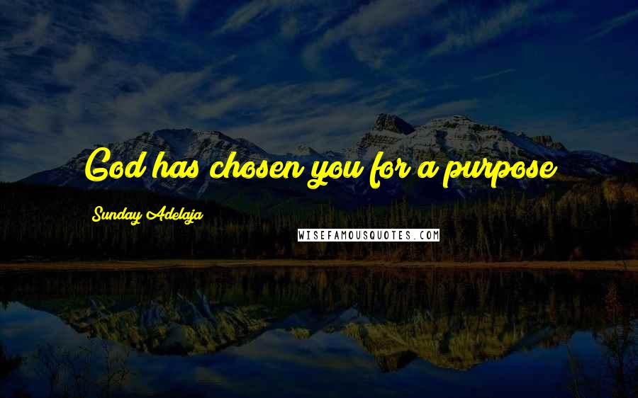 Sunday Adelaja Quotes: God has chosen you for a purpose
