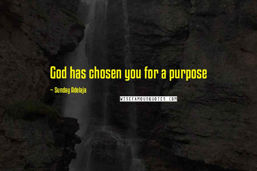 Sunday Adelaja Quotes: God has chosen you for a purpose