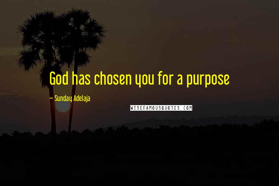 Sunday Adelaja Quotes: God has chosen you for a purpose