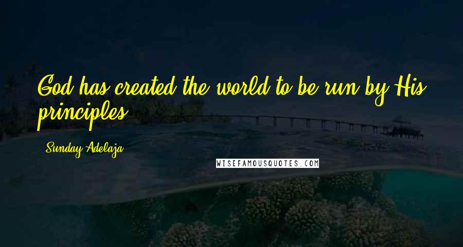 Sunday Adelaja Quotes: God has created the world to be run by His principles.