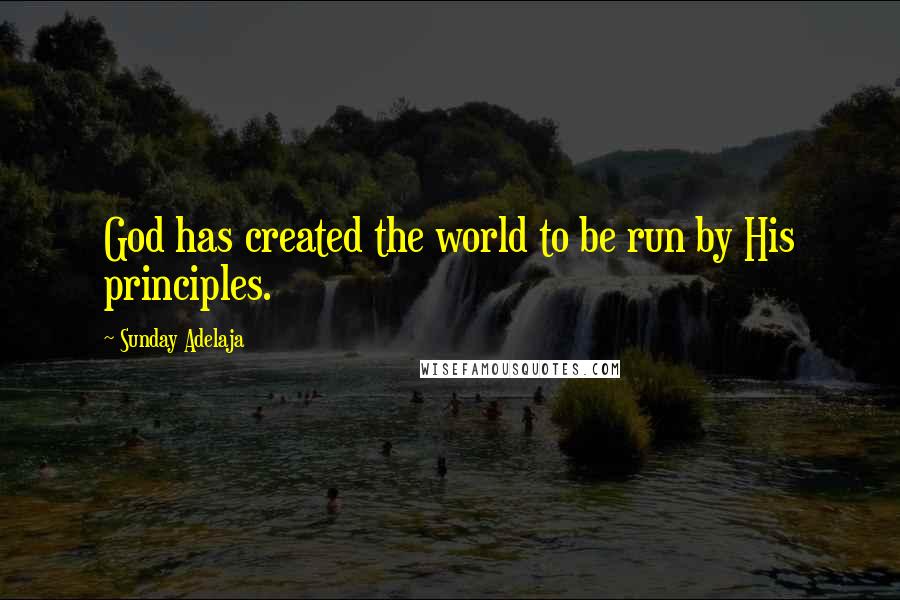 Sunday Adelaja Quotes: God has created the world to be run by His principles.