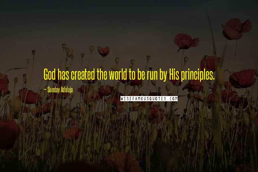 Sunday Adelaja Quotes: God has created the world to be run by His principles.