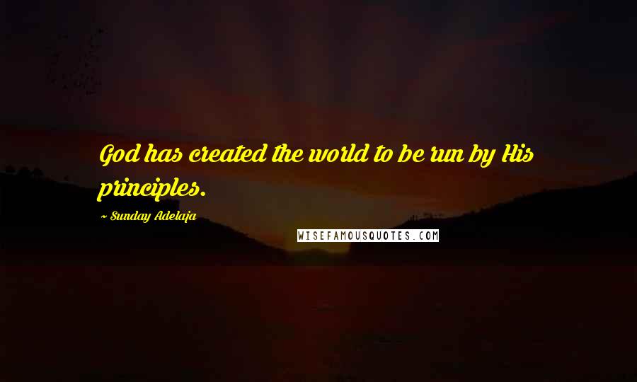 Sunday Adelaja Quotes: God has created the world to be run by His principles.