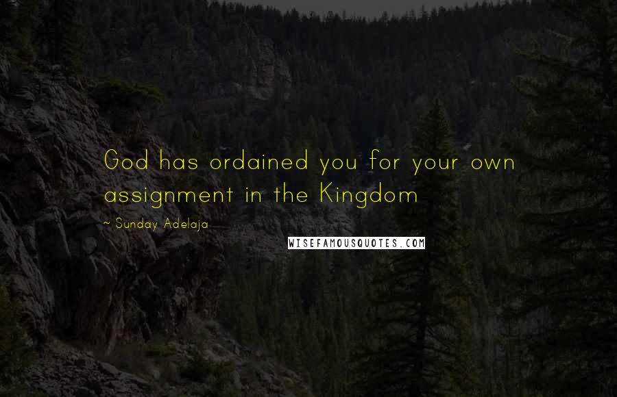 Sunday Adelaja Quotes: God has ordained you for your own assignment in the Kingdom