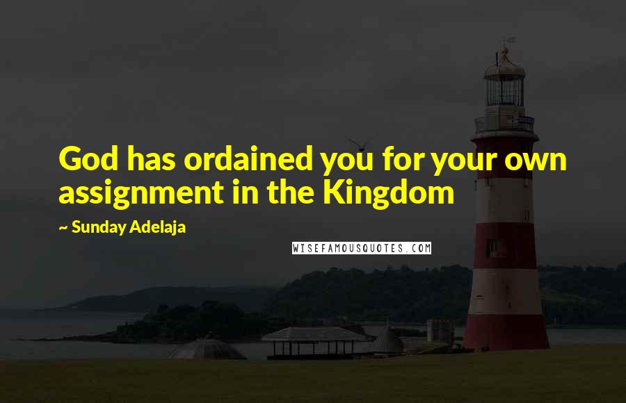 Sunday Adelaja Quotes: God has ordained you for your own assignment in the Kingdom