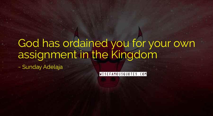 Sunday Adelaja Quotes: God has ordained you for your own assignment in the Kingdom