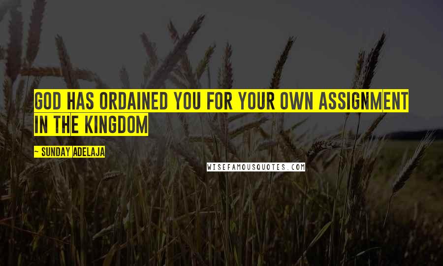 Sunday Adelaja Quotes: God has ordained you for your own assignment in the Kingdom