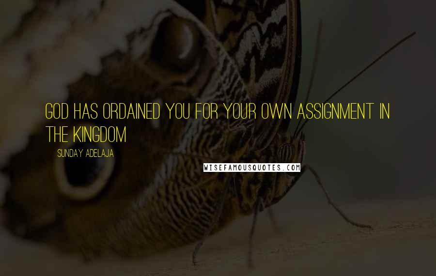 Sunday Adelaja Quotes: God has ordained you for your own assignment in the Kingdom