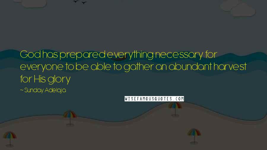 Sunday Adelaja Quotes: God has prepared everything necessary for everyone to be able to gather an abundant harvest for His glory