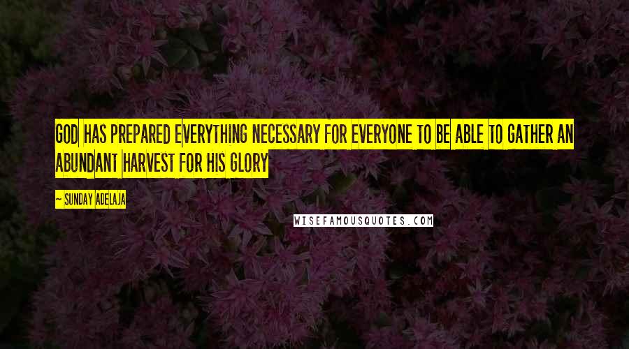 Sunday Adelaja Quotes: God has prepared everything necessary for everyone to be able to gather an abundant harvest for His glory