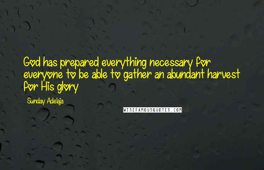 Sunday Adelaja Quotes: God has prepared everything necessary for everyone to be able to gather an abundant harvest for His glory
