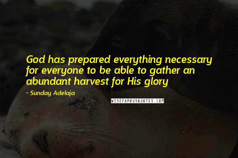 Sunday Adelaja Quotes: God has prepared everything necessary for everyone to be able to gather an abundant harvest for His glory