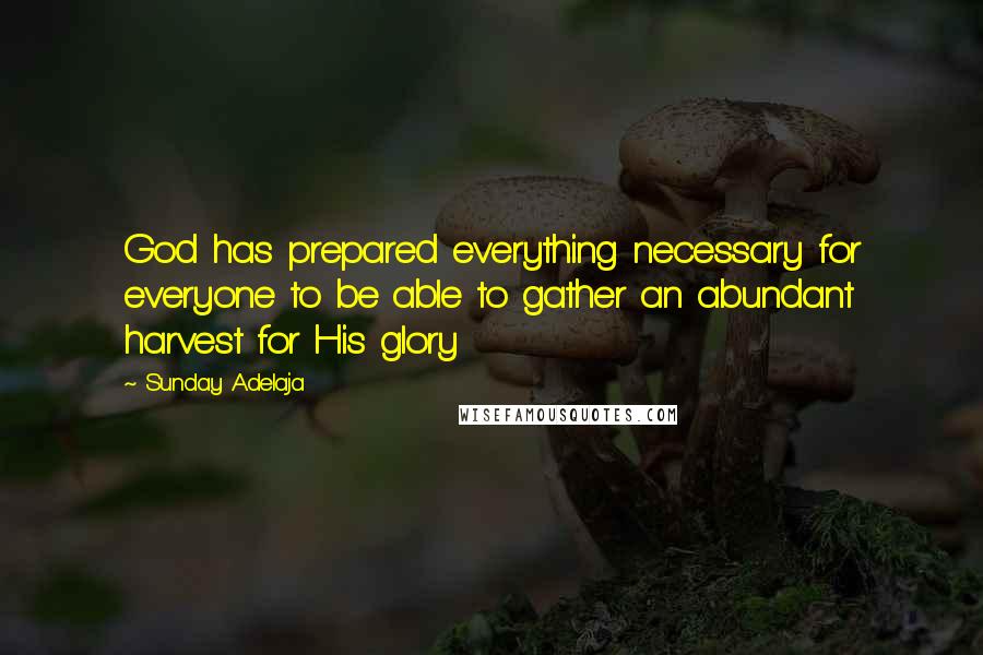 Sunday Adelaja Quotes: God has prepared everything necessary for everyone to be able to gather an abundant harvest for His glory