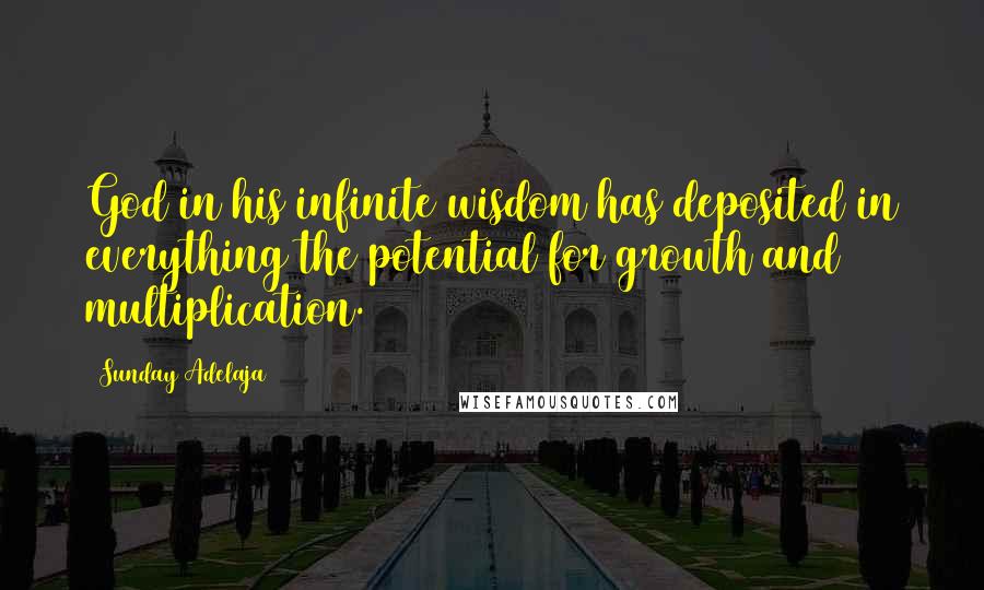 Sunday Adelaja Quotes: God in his infinite wisdom has deposited in everything the potential for growth and multiplication.