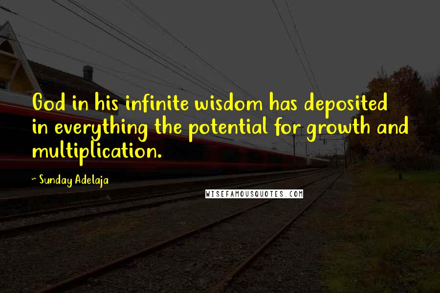 Sunday Adelaja Quotes: God in his infinite wisdom has deposited in everything the potential for growth and multiplication.