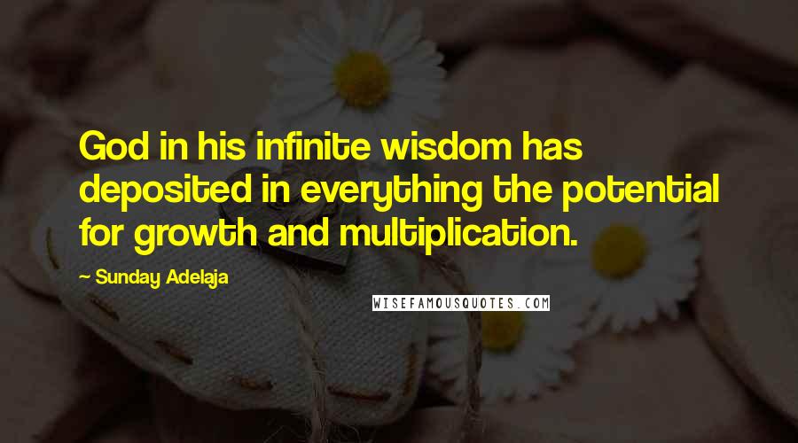 Sunday Adelaja Quotes: God in his infinite wisdom has deposited in everything the potential for growth and multiplication.