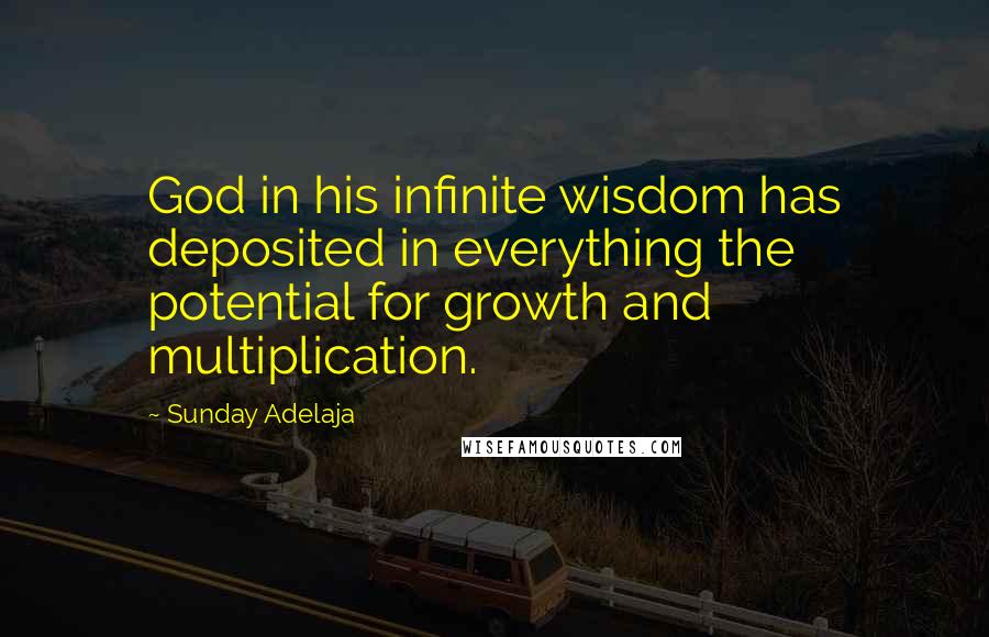 Sunday Adelaja Quotes: God in his infinite wisdom has deposited in everything the potential for growth and multiplication.