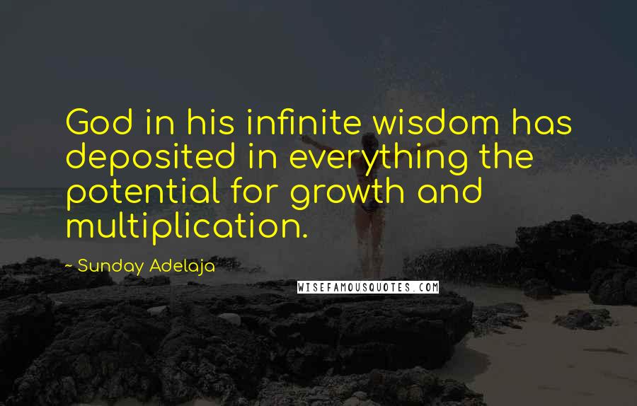 Sunday Adelaja Quotes: God in his infinite wisdom has deposited in everything the potential for growth and multiplication.