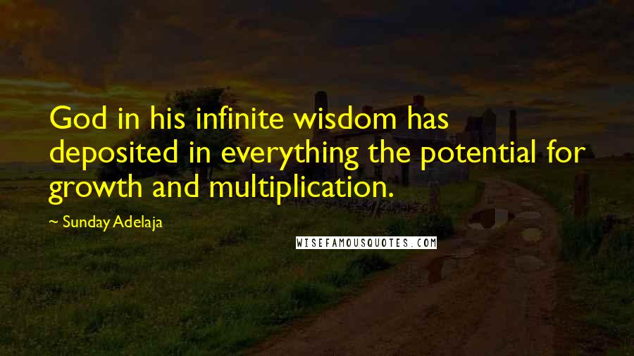 Sunday Adelaja Quotes: God in his infinite wisdom has deposited in everything the potential for growth and multiplication.