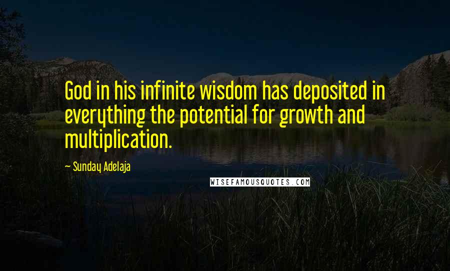 Sunday Adelaja Quotes: God in his infinite wisdom has deposited in everything the potential for growth and multiplication.