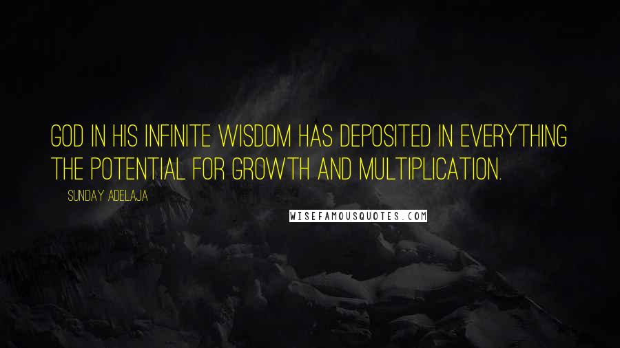 Sunday Adelaja Quotes: God in his infinite wisdom has deposited in everything the potential for growth and multiplication.