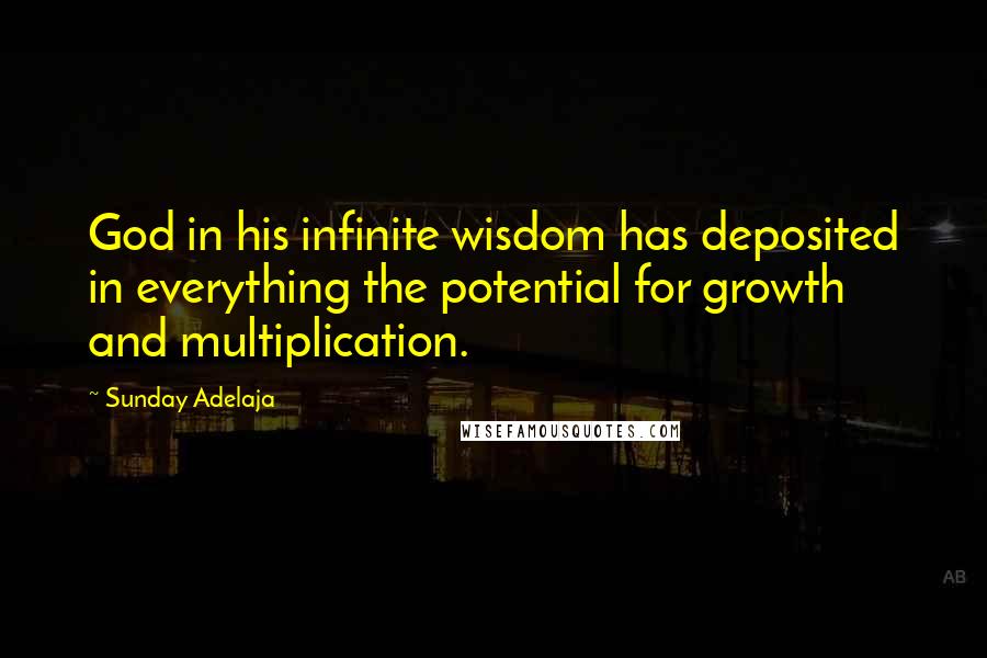 Sunday Adelaja Quotes: God in his infinite wisdom has deposited in everything the potential for growth and multiplication.