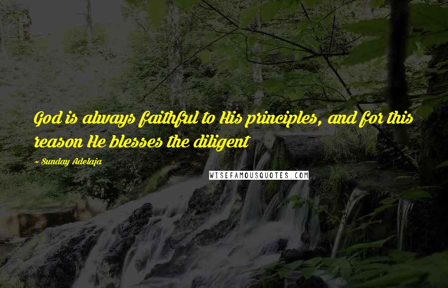 Sunday Adelaja Quotes: God is always faithful to His principles, and for this reason He blesses the diligent