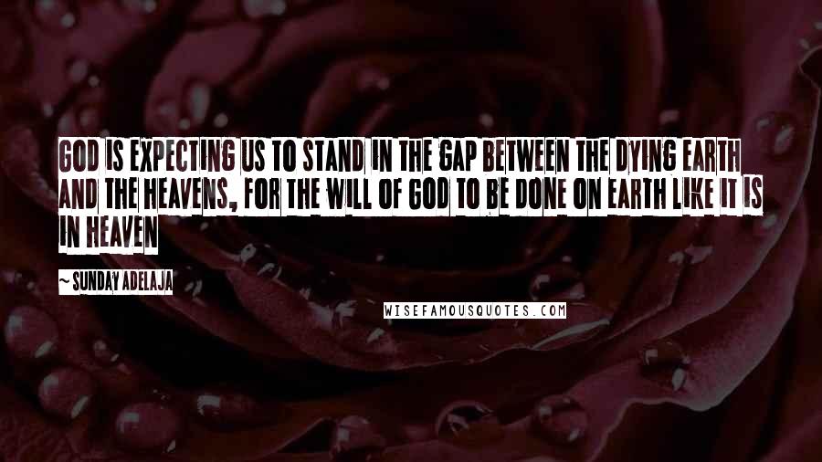 Sunday Adelaja Quotes: God is expecting us to stand in the gap between the dying earth and the heavens, for the will of God to be done on earth like it is in heaven