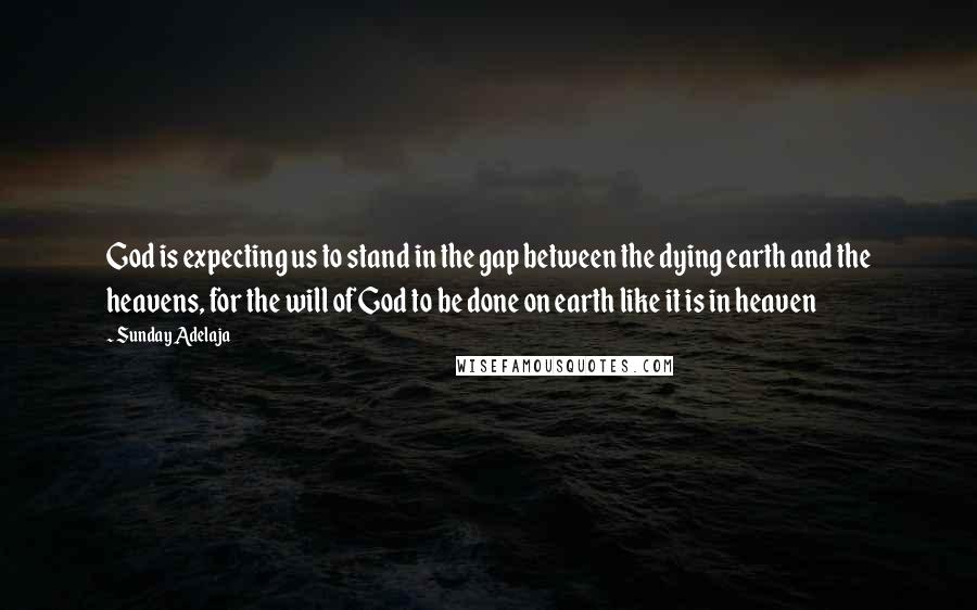 Sunday Adelaja Quotes: God is expecting us to stand in the gap between the dying earth and the heavens, for the will of God to be done on earth like it is in heaven