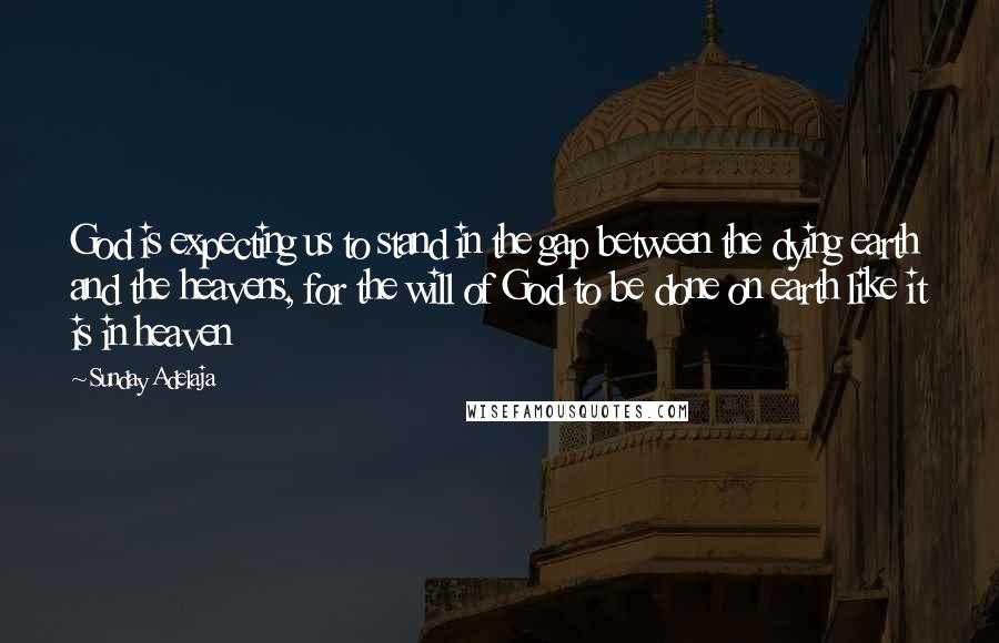 Sunday Adelaja Quotes: God is expecting us to stand in the gap between the dying earth and the heavens, for the will of God to be done on earth like it is in heaven