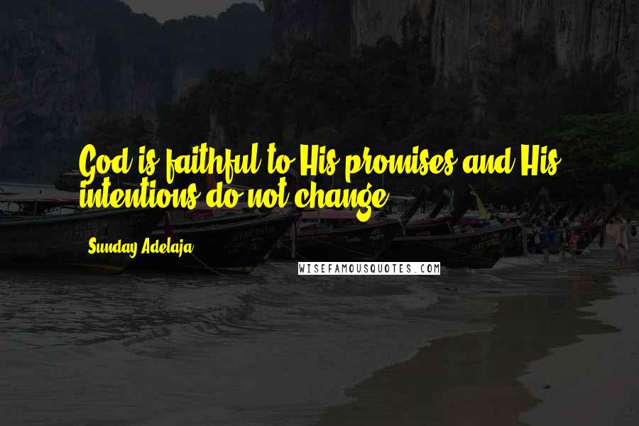 Sunday Adelaja Quotes: God is faithful to His promises and His intentions do not change