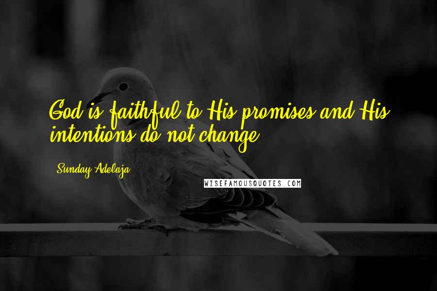 Sunday Adelaja Quotes: God is faithful to His promises and His intentions do not change