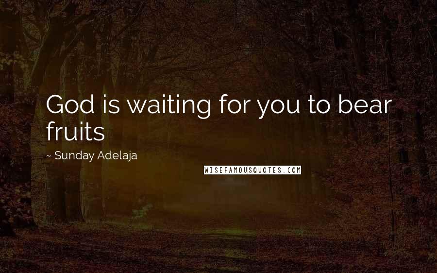 Sunday Adelaja Quotes: God is waiting for you to bear fruits