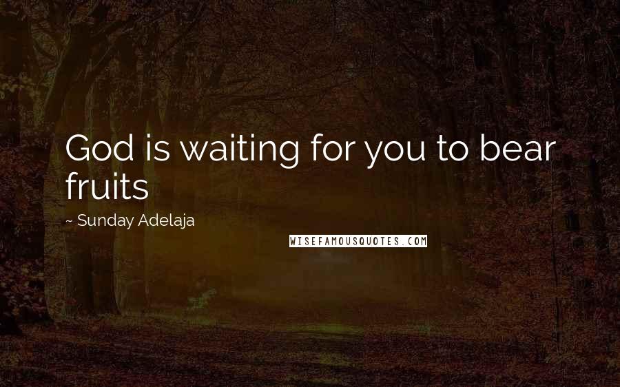 Sunday Adelaja Quotes: God is waiting for you to bear fruits