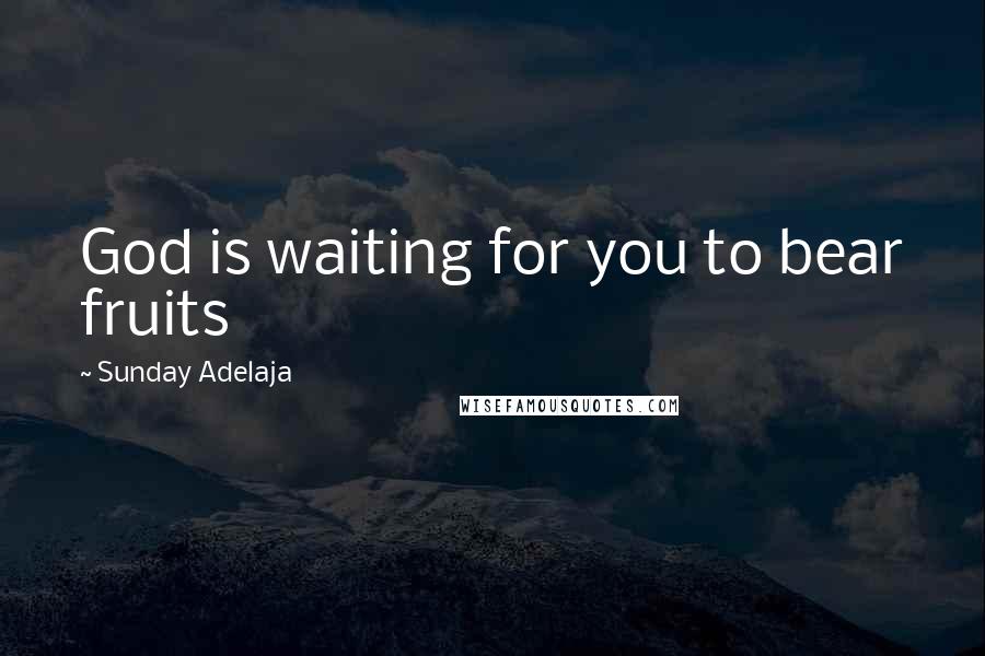 Sunday Adelaja Quotes: God is waiting for you to bear fruits