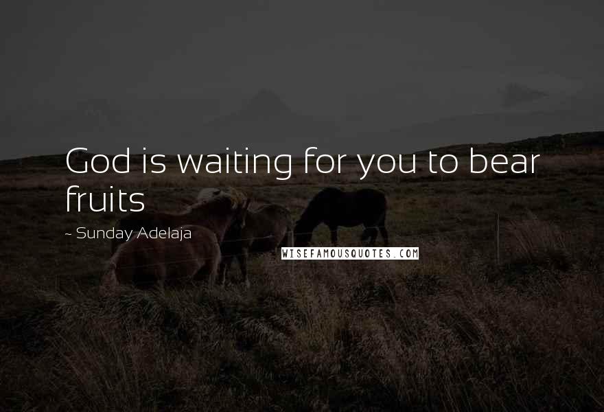 Sunday Adelaja Quotes: God is waiting for you to bear fruits