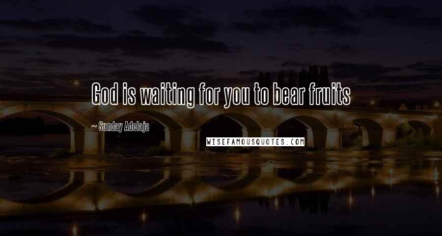 Sunday Adelaja Quotes: God is waiting for you to bear fruits